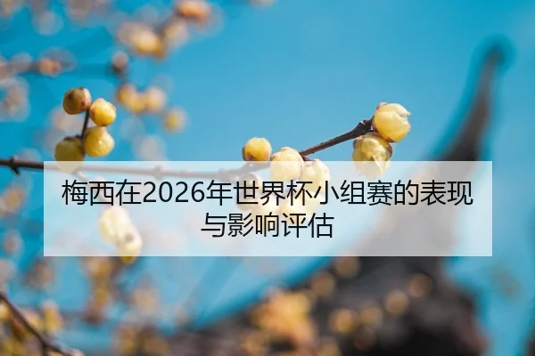 mei-xi-zai-nian-shi-jie-bei-xiao-zu-sai-de-biao-xian-yu-ying-xiang-ping-gu-2-407.jpg