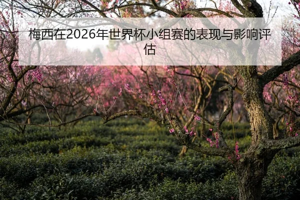 梅西在2026年世界杯小组赛的表现与影响评估
