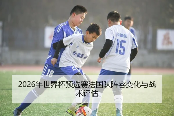 2026年世界杯预选赛法国队阵容变化与战术评估