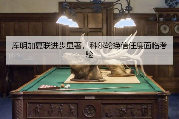 库明加夏联进步显著，科尔轮换信任度面临考验